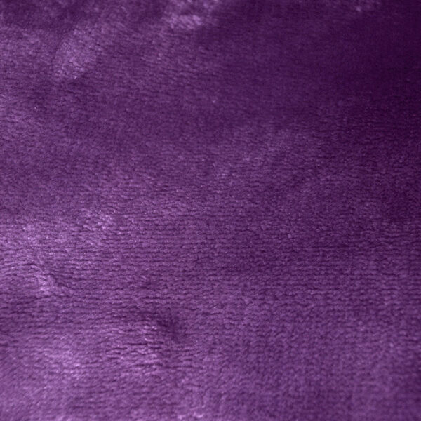 violet2